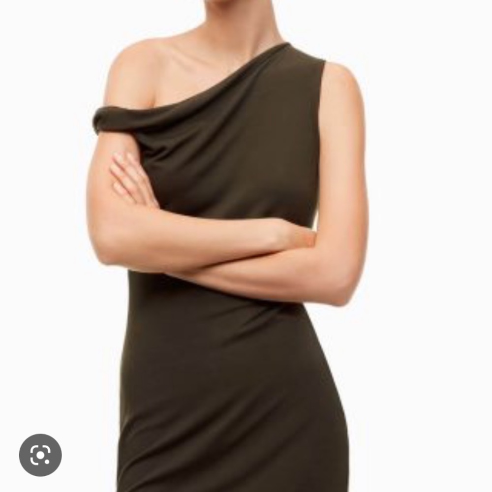 The group babaton gabbard dress for aritizia - Size small NWOT